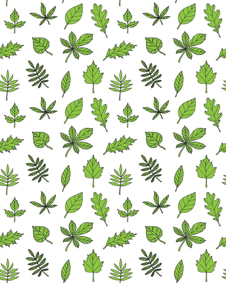 Seamless pattern of different green leaves vector