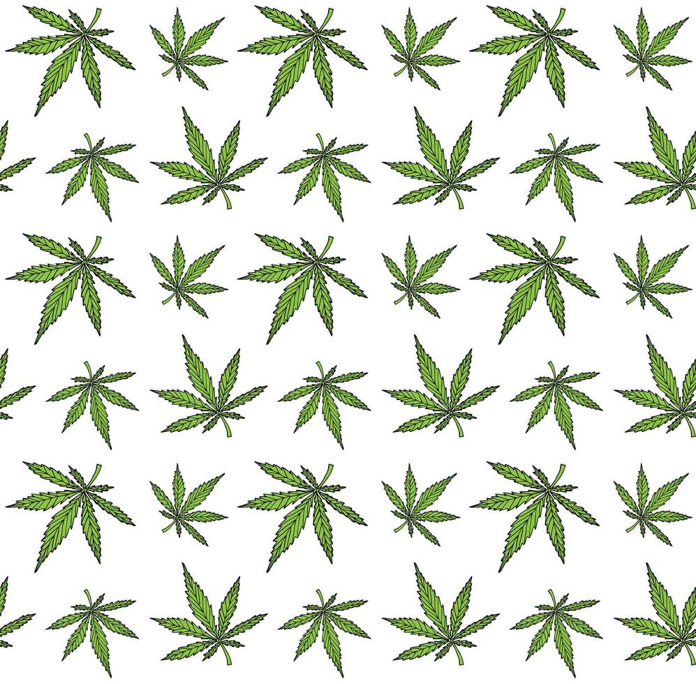 Seamless pattern of hand drawn doodle sketch hemp cannabis isolated on white background vector
