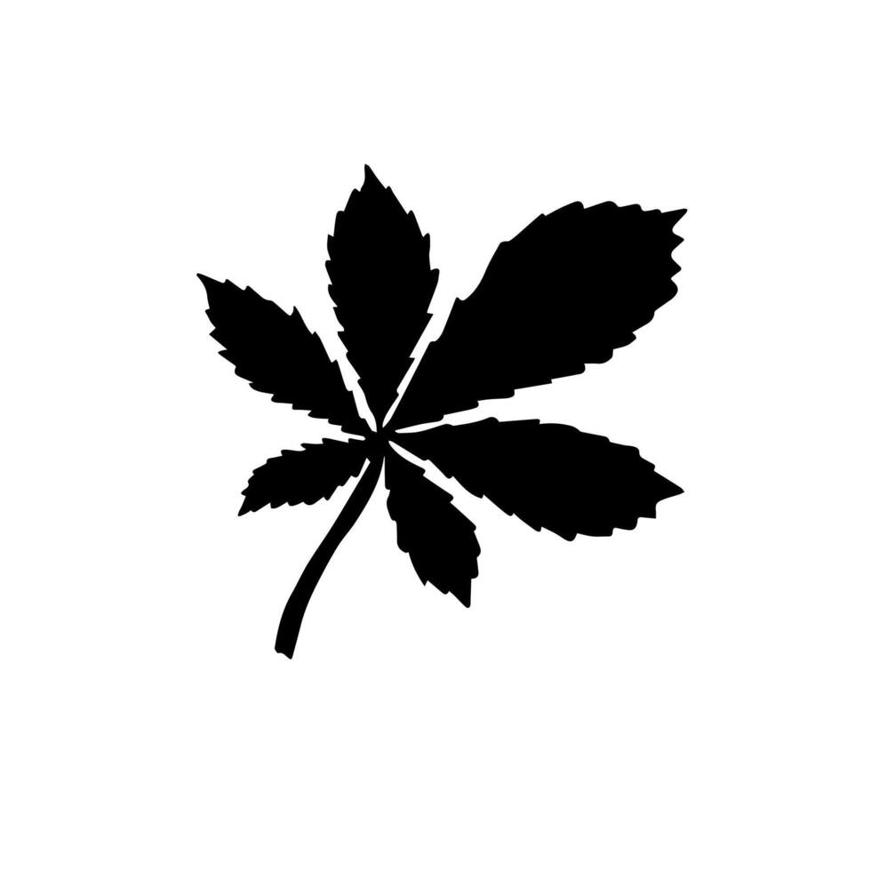 Hand drawn doodle sketch chestnut leaf vector