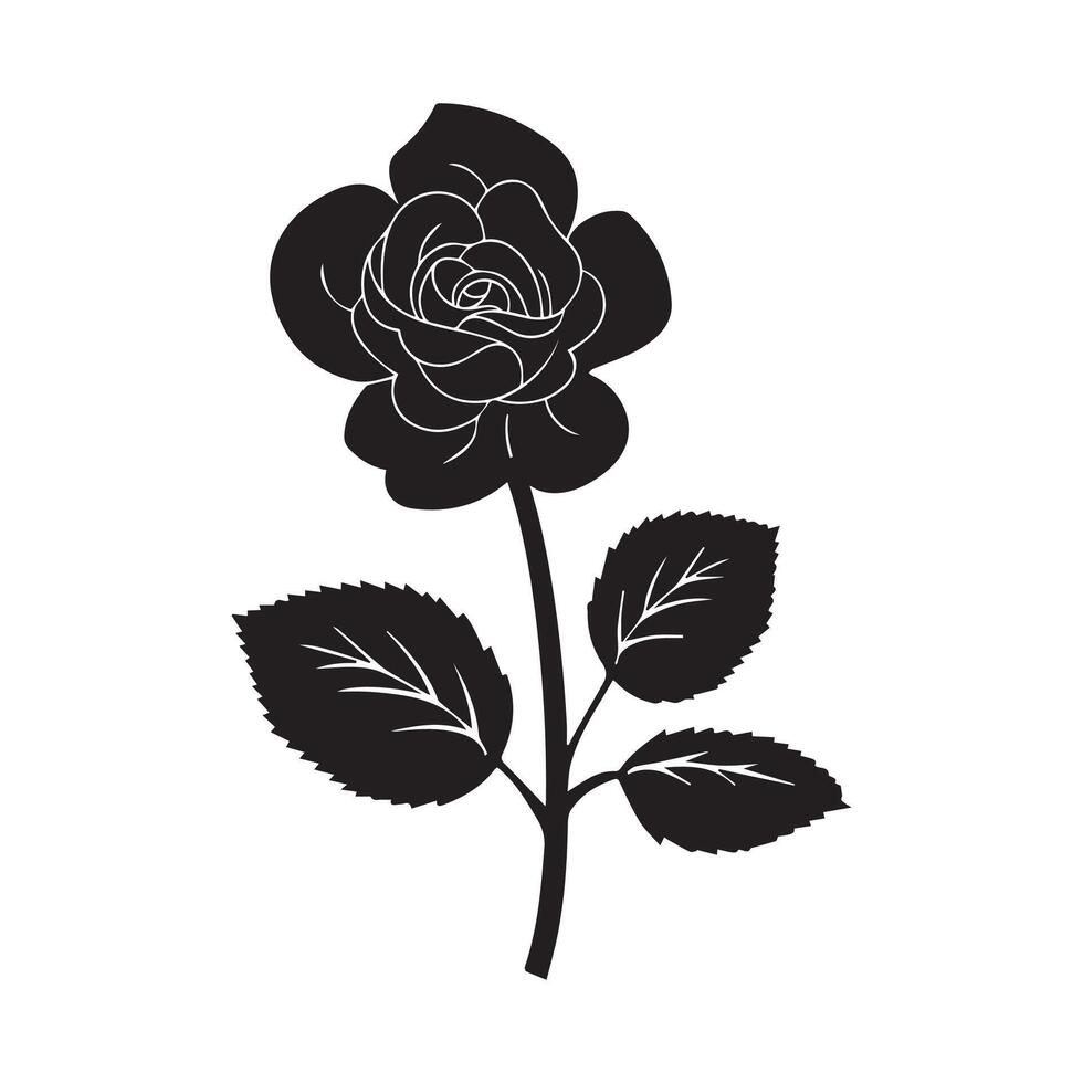 Illustration of a rose vector