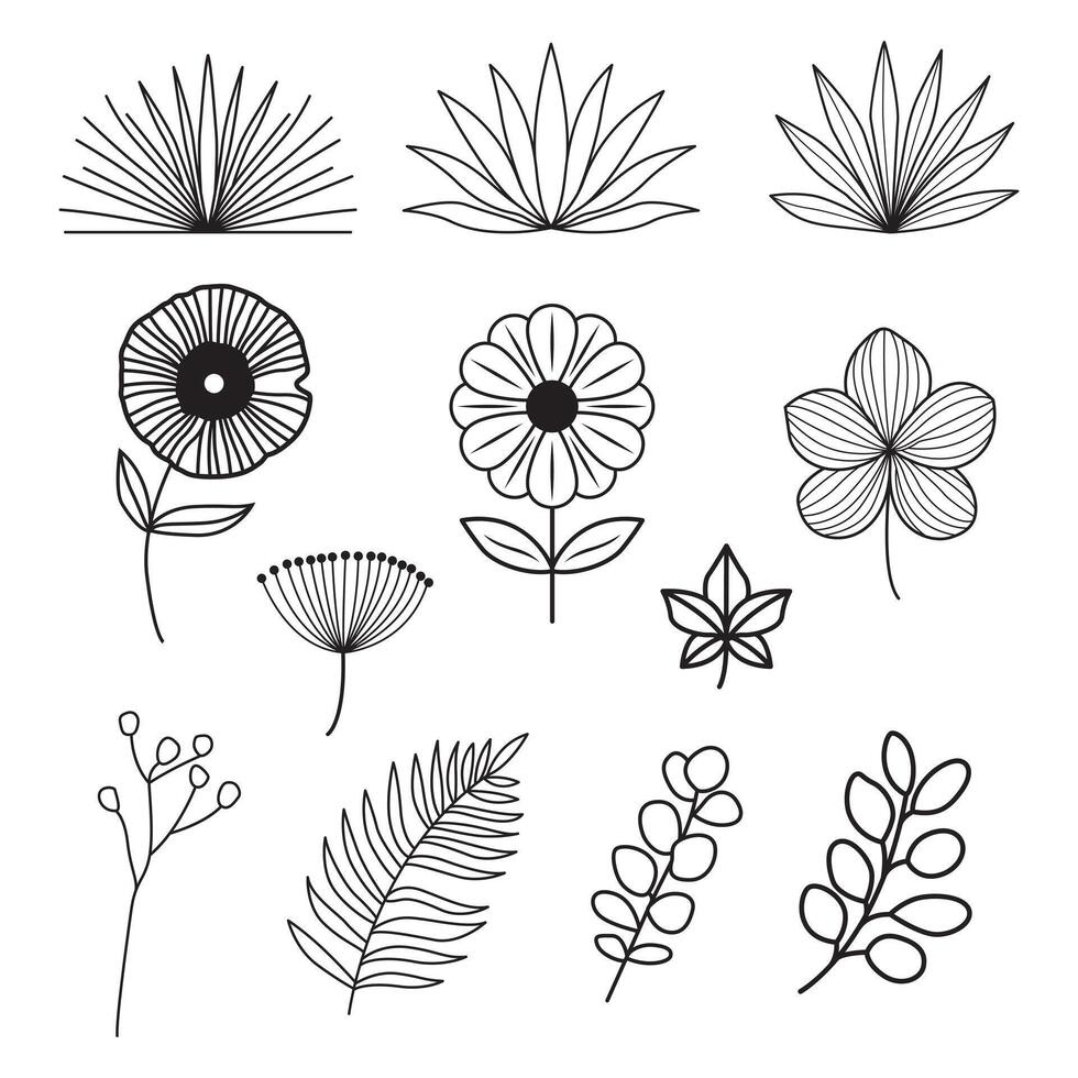 Elegant black line art collection of flowers, leaves, and plants with delicate outlines in a modern, minimalist hand-drawn style. vector
