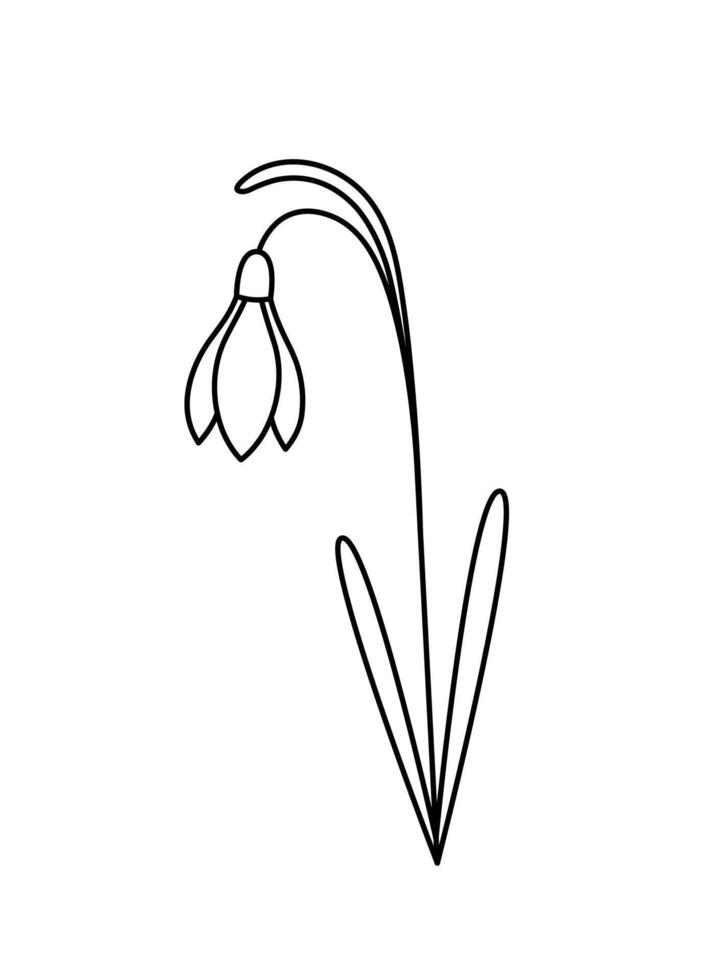 Lily of the valley. Forest blooming plant. Hand drawn sketch icon of spring flower. Isolated illustration in doodle line style. vector