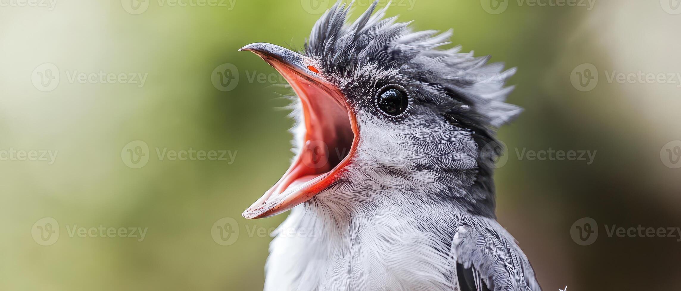 Loud bird chirping in vibrant nature setting photo