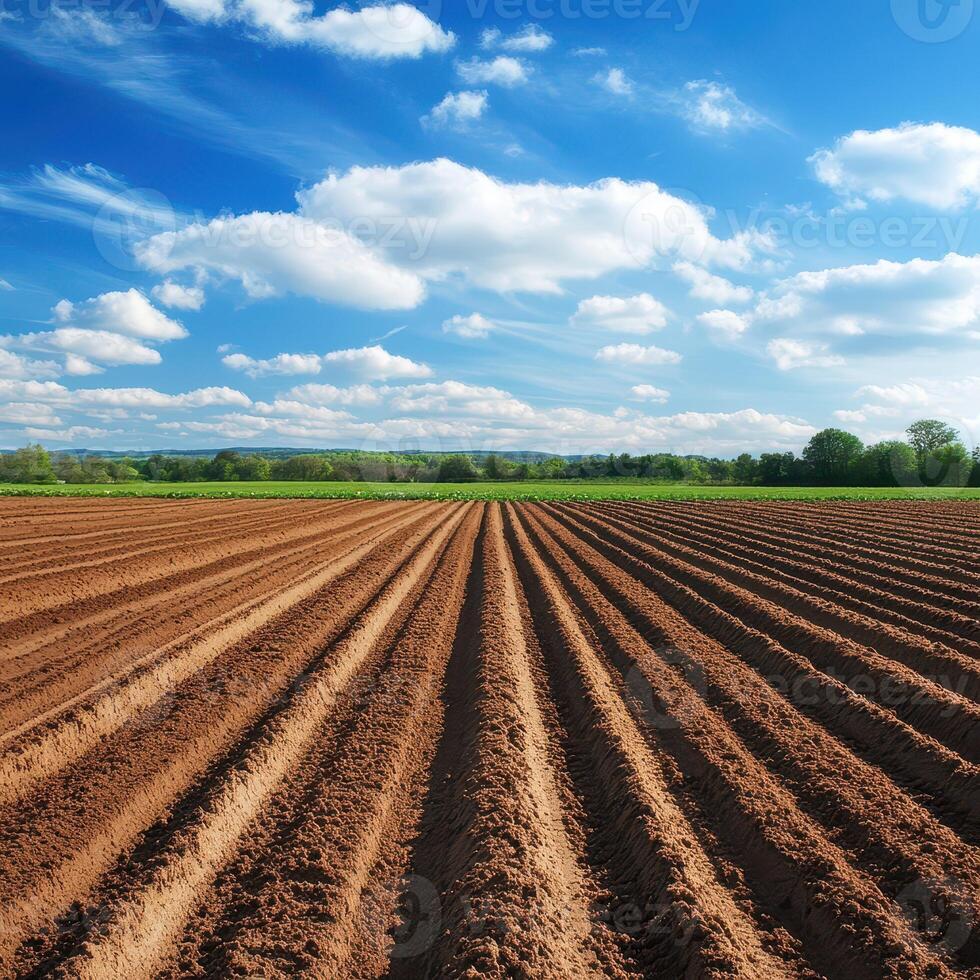Plowed farm field under blue sky photo