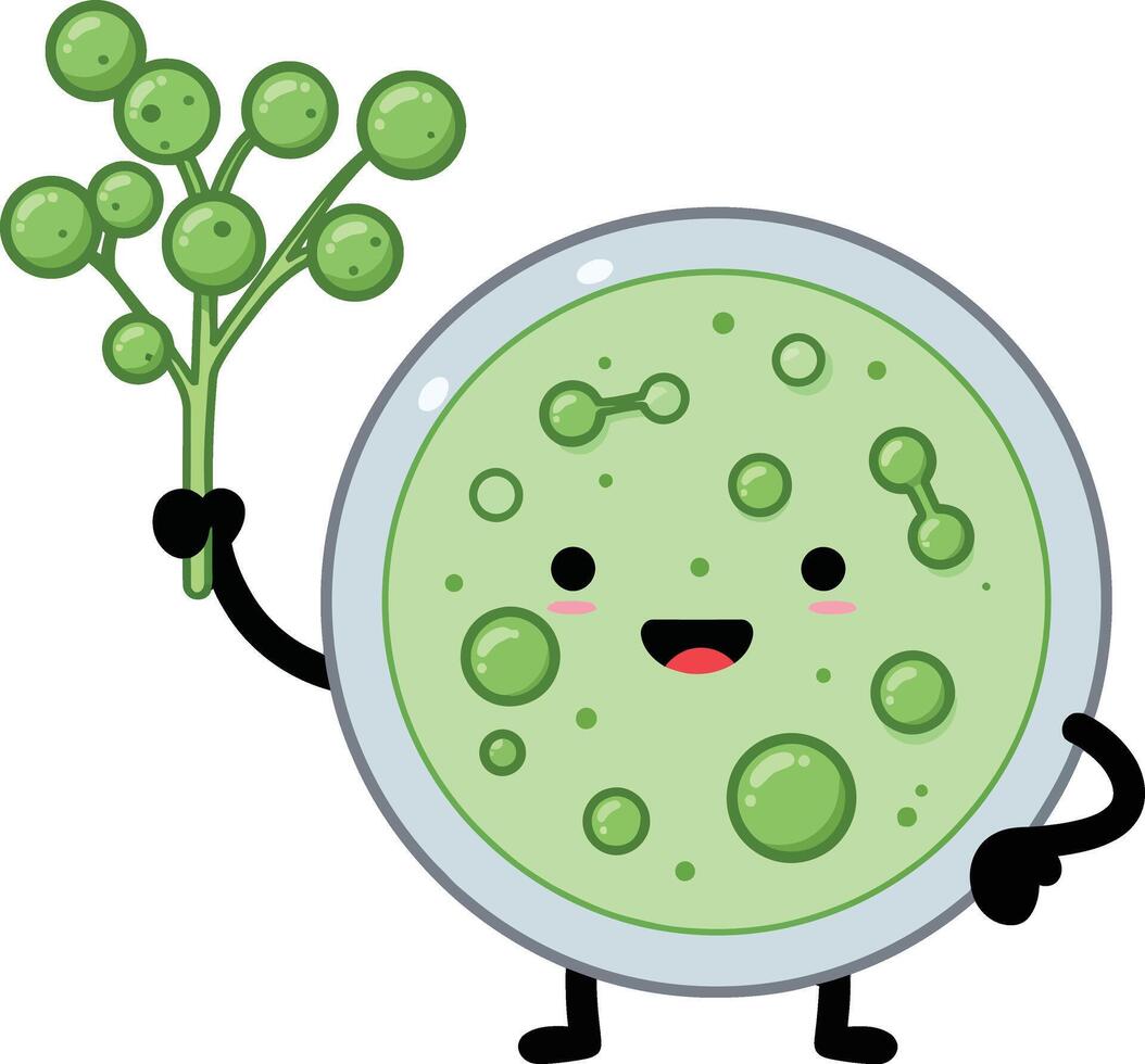 Cute green algae cell cartoon character holding algae branch illustration with smiling face and black limbs vector