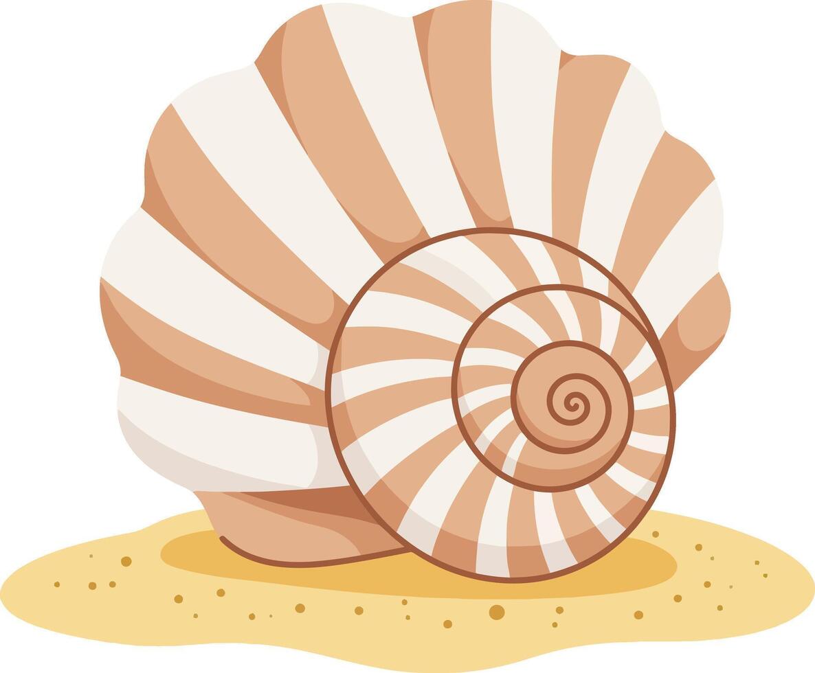 Seashell on sandy beach with beige and white stripes illustration natural ocean decoration coastal design element vector
