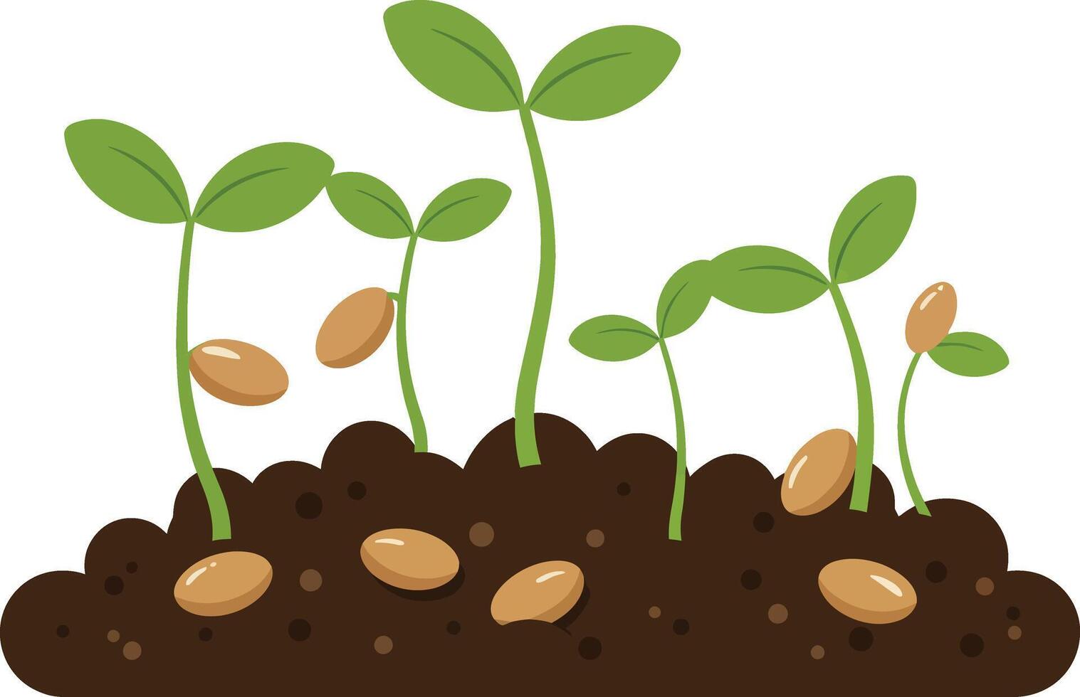 Seedlings sprouting from soil with growing green leaves illustration of plant growth process vector