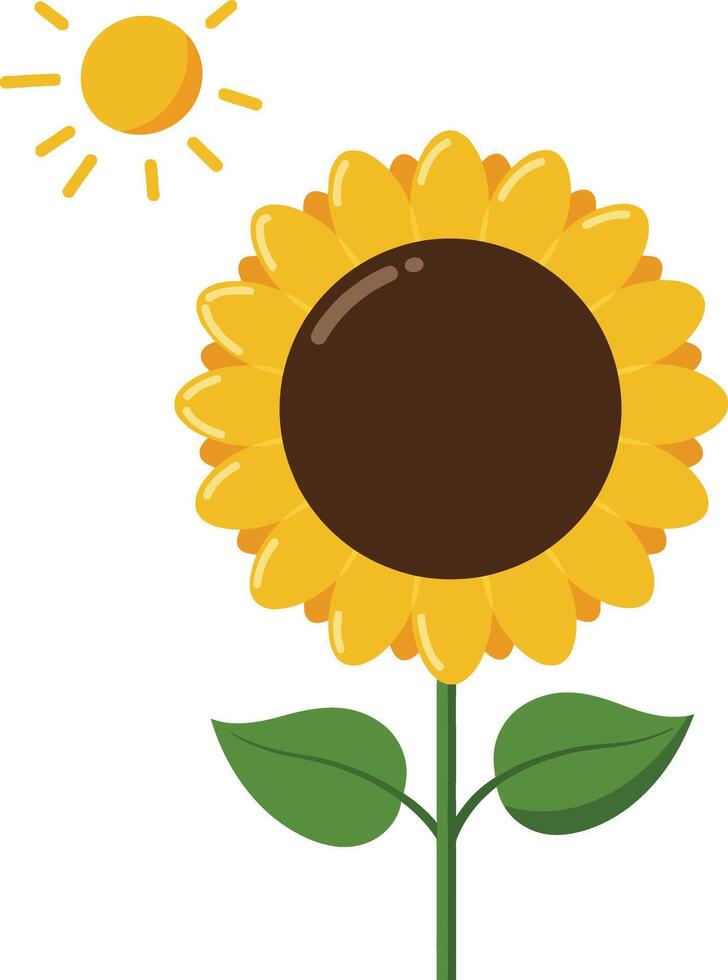 Sunflower with green leaves and sun illustration in flat style with bright yellow petals design vector