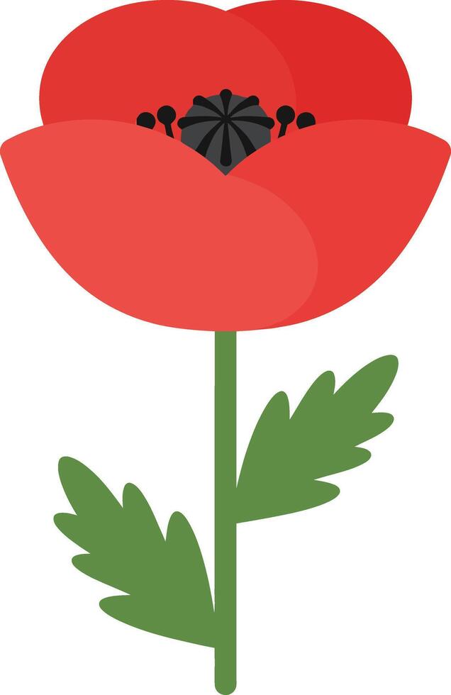 Red poppy flower illustration with green leaves and stem isolated on white background vector