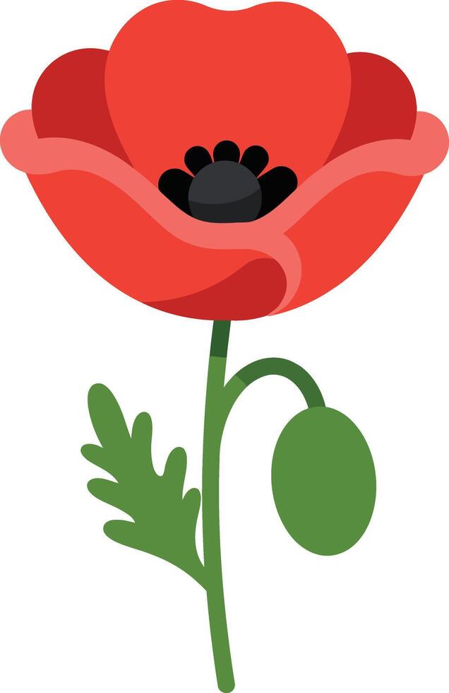 Red poppy flower illustration with green stem and seed pod on white background vector