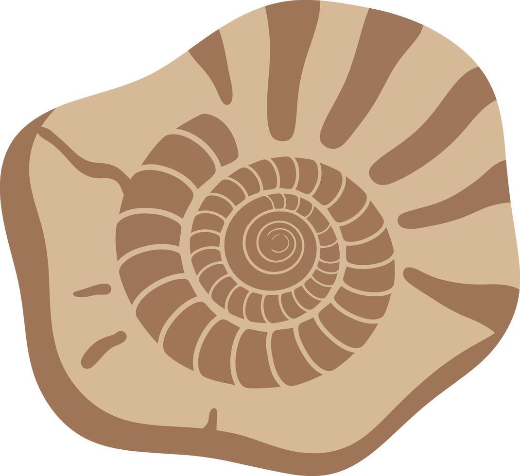 Spiral fossil shell illustration in natural earthy brown tones with detailed pattern and textured surface design vector