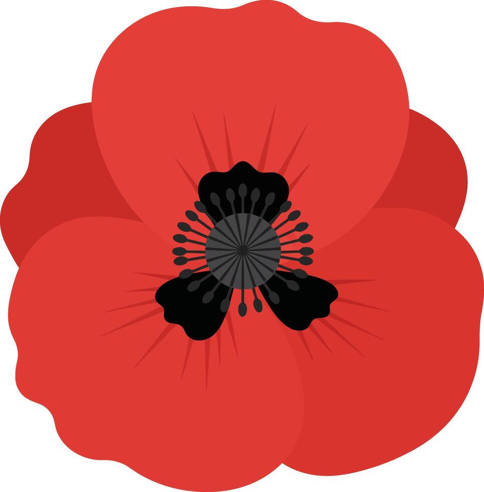Red poppy flower illustration with black center and simple design for nature and floral themes vector