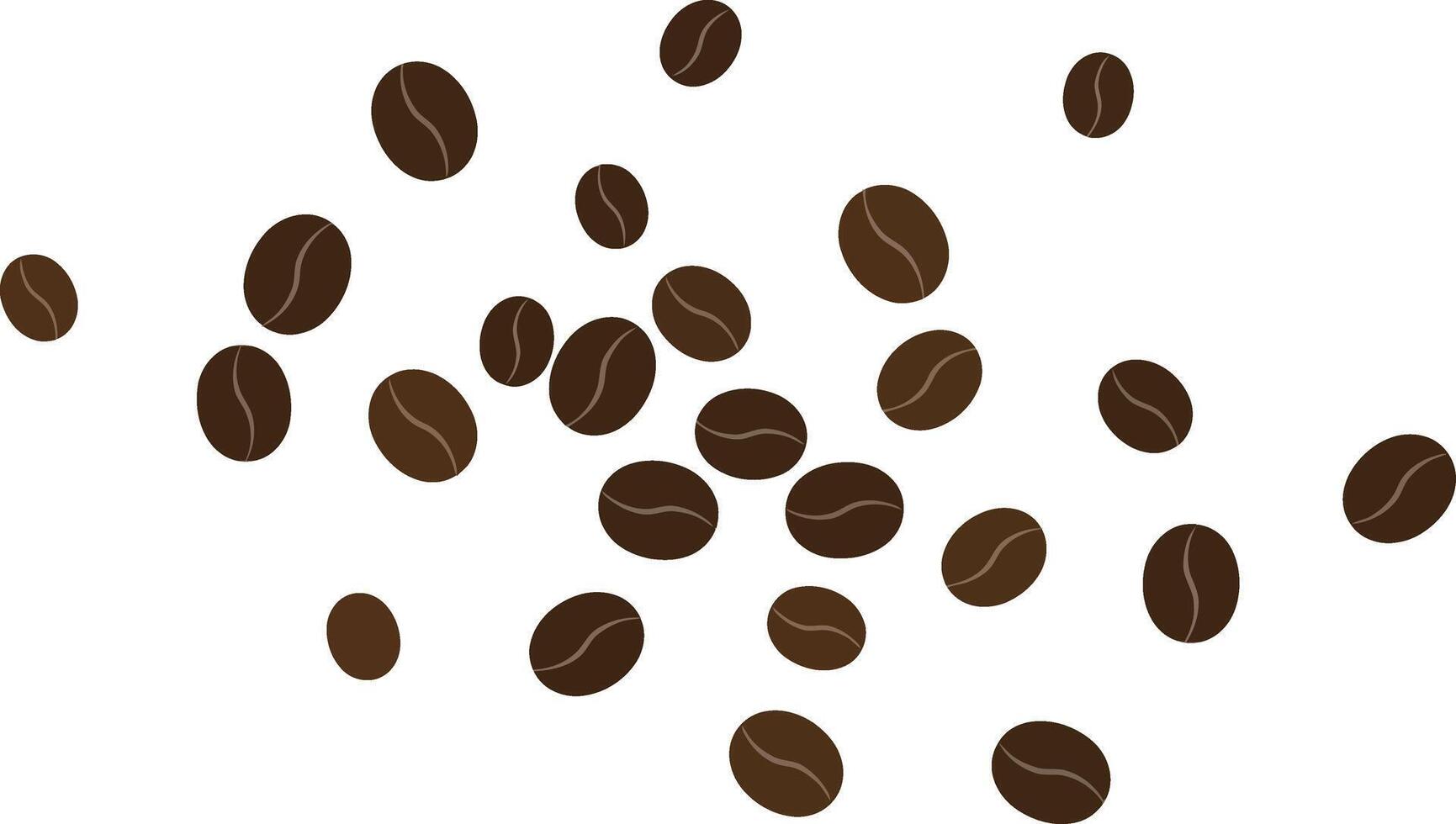 Coffee beans scattered illustration with brown colors on white background for beverage design and lifestyle concepts vector