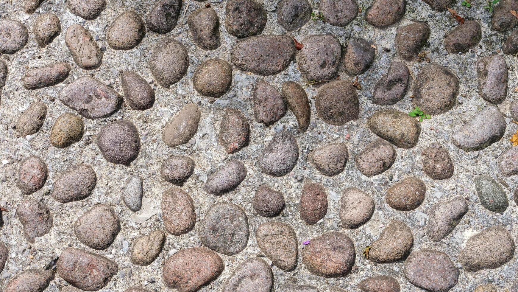 Textured pebbles create a natural mosaic on a pathway in a serene garden during a sunny afternoon photo