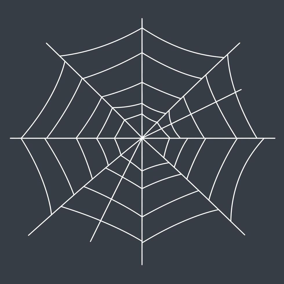 Spider web illustration with white lines on dark square background for nature and design projects vector