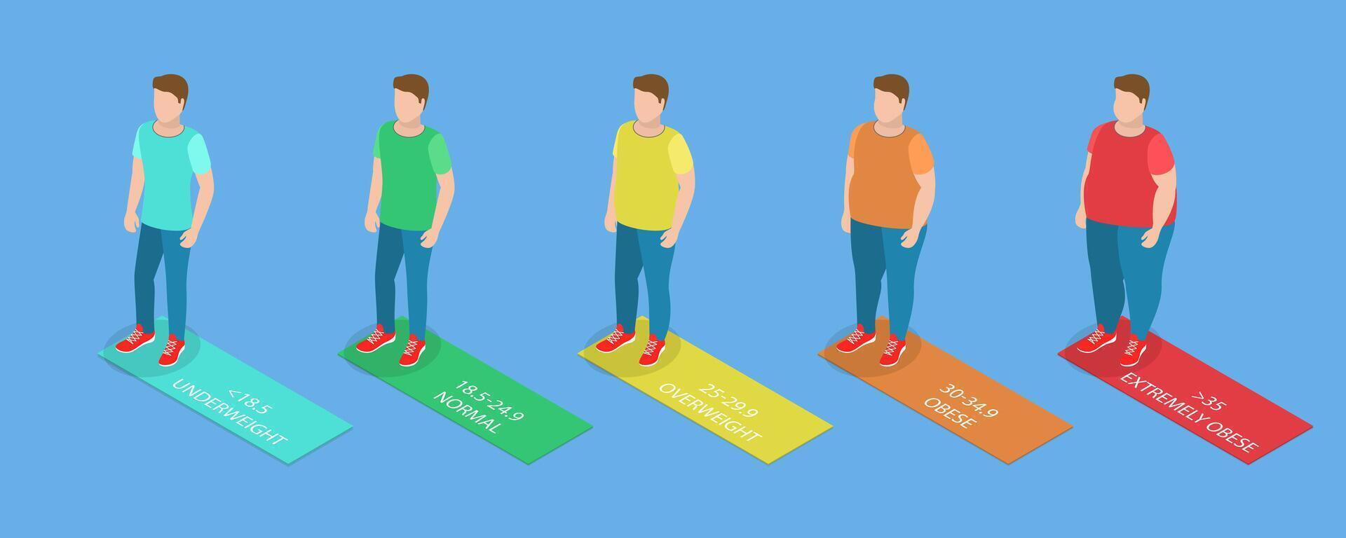 3D Isometric Flat Illustration of Body Mass Index, BMI Classification Chart vector