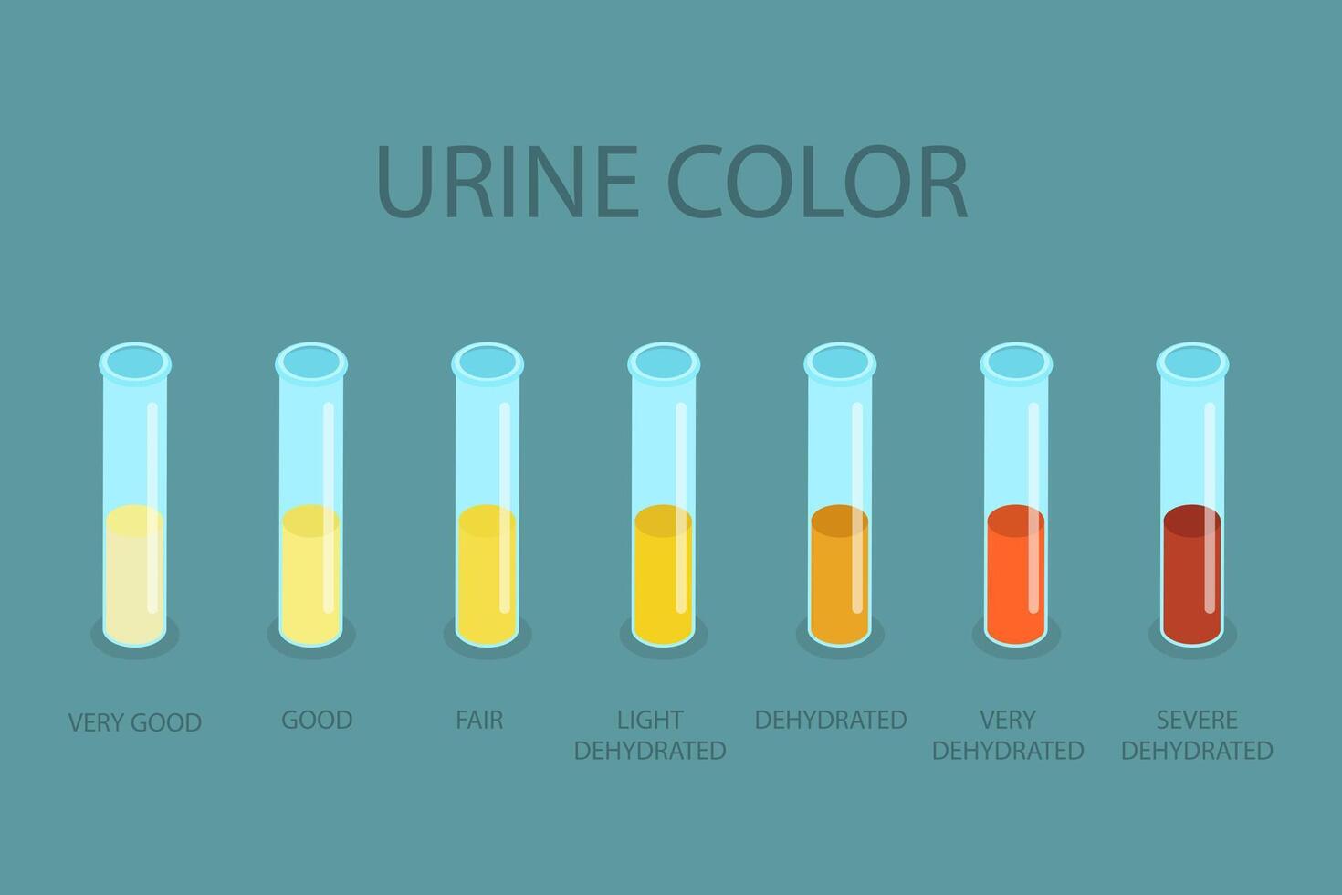 3D Isometric Flat Illustration of Urine Color Chart, Assessing Hydration and Dehydration vector