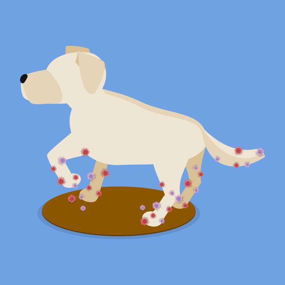 3D Isometric Flat Illustration of Dirty Dog, Animal Parasites vector