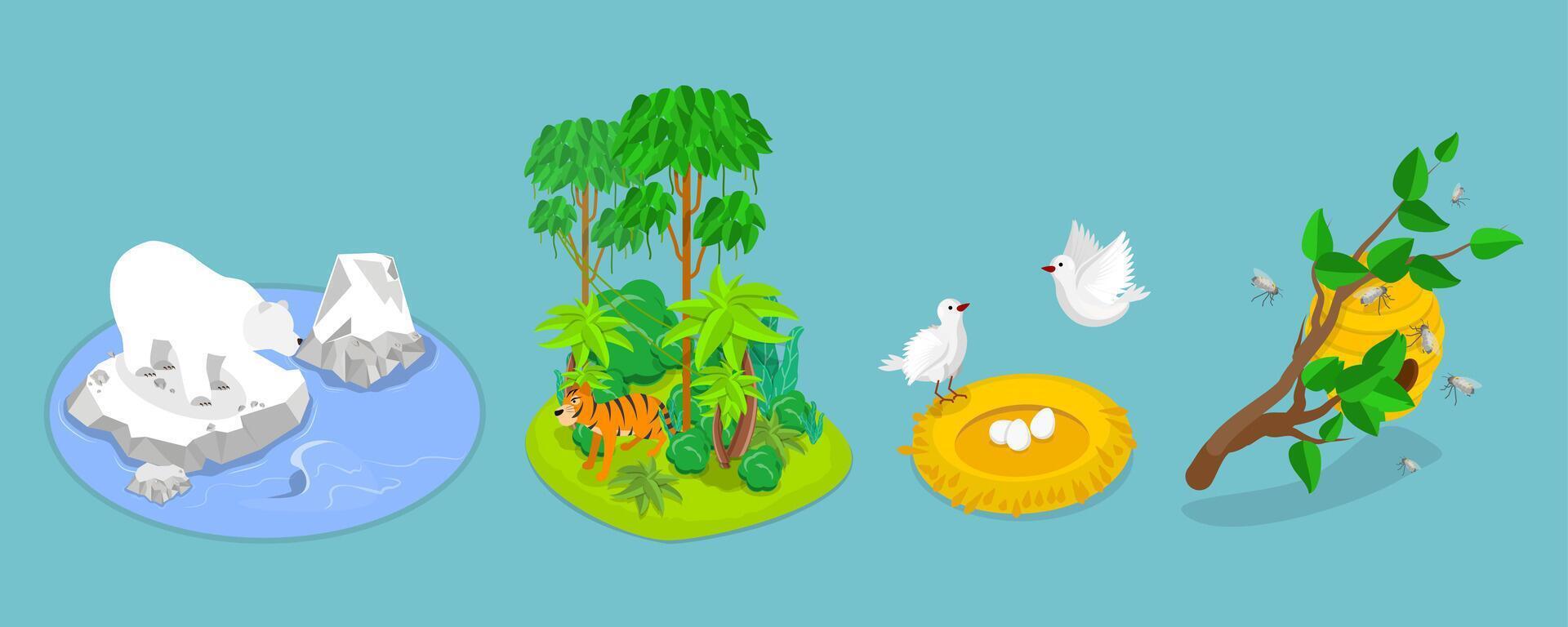 3D Isometric Flat Illustration of Wild Animals Habitat Types, Geographical Wildlife Biodiversity vector