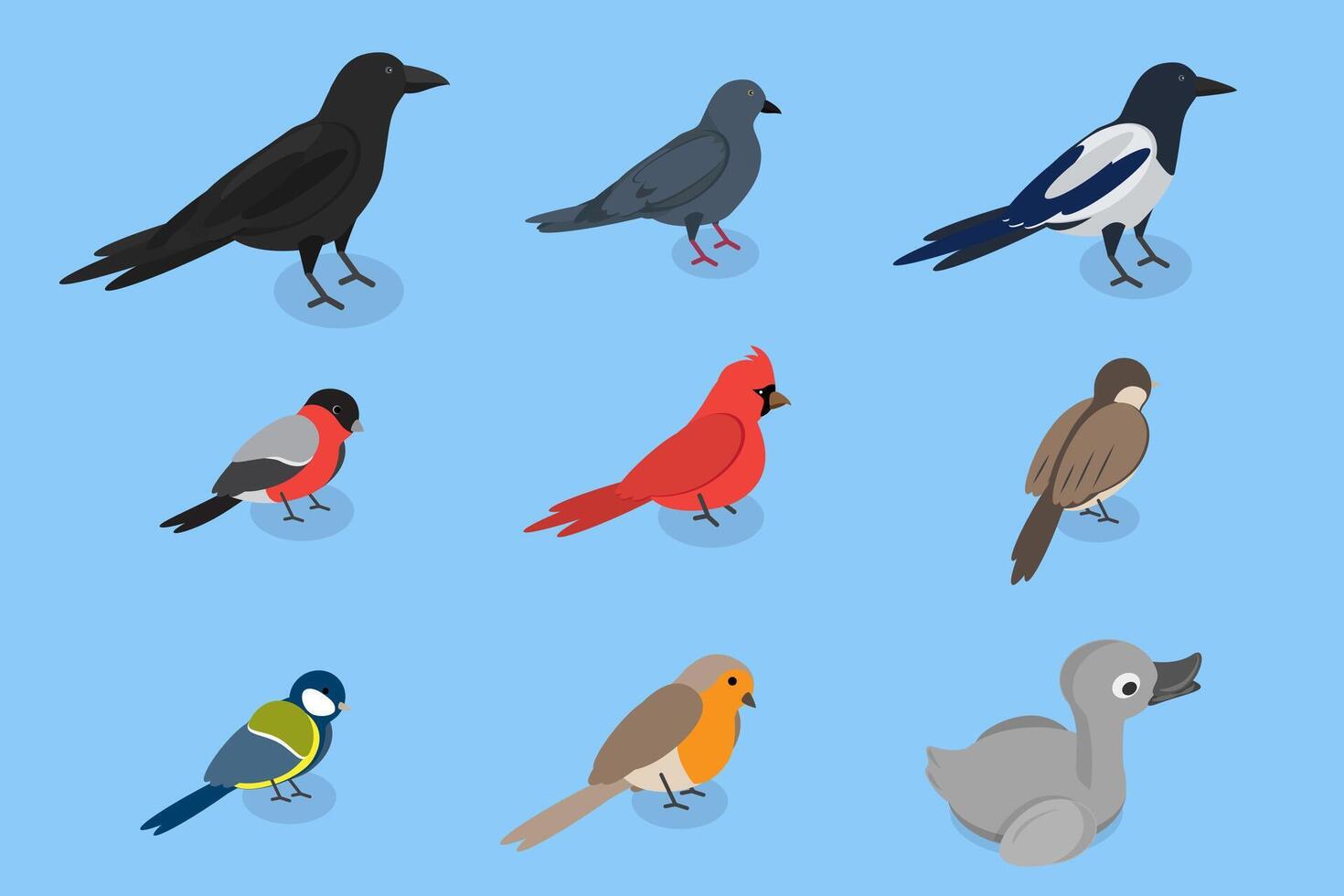 3D Isometric Flat Set of City Birds, Sparrow, Tit, Pigeon, and Crow vector