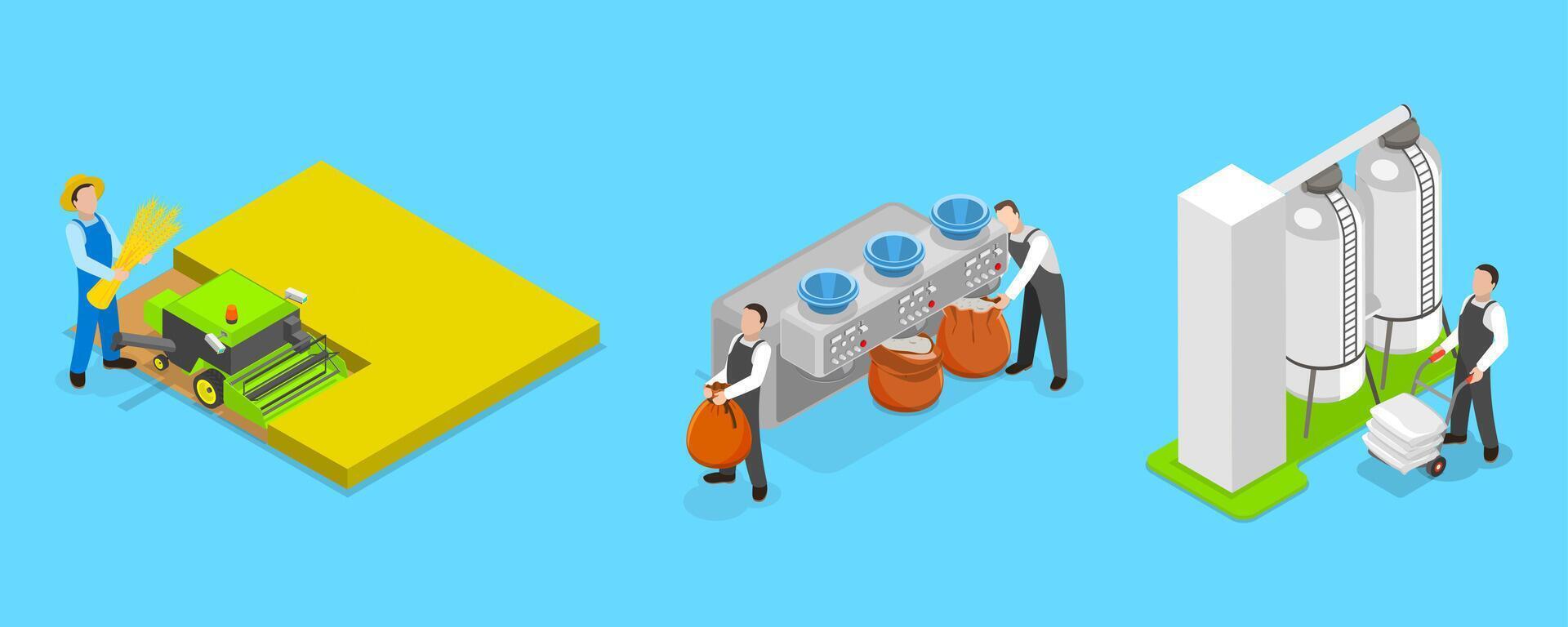 3D Isometric Flat Illustration of Wheat Manufacture Process, Manufacturing Stages vector