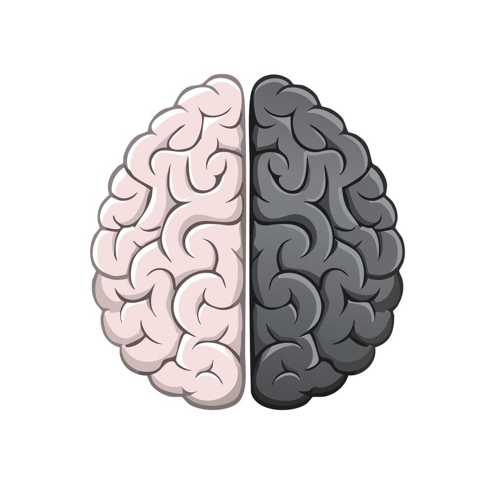 Comparison of light brain and dark brain vector