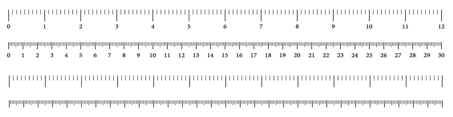 Size indicators measuring tool, ruler scale, precision measurement of ruler scale, centimeters and inches. Set of ruler 30 cm 12 inch on transparent background vector