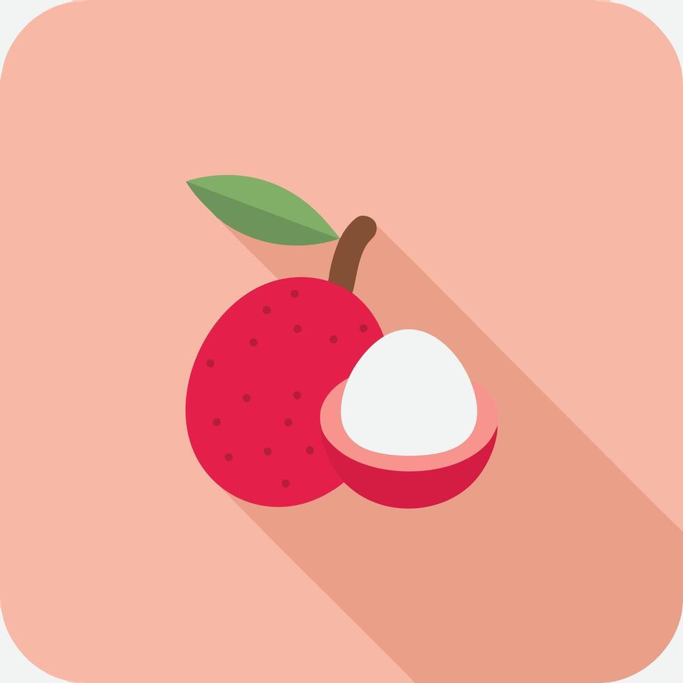 Simple Lychee Fruit Icon vector