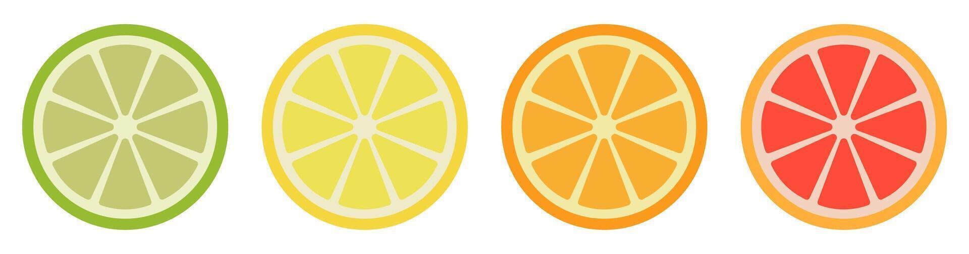 Colorful citrus slices, lemon, lime, orange, grapefruit in vibrant display vector