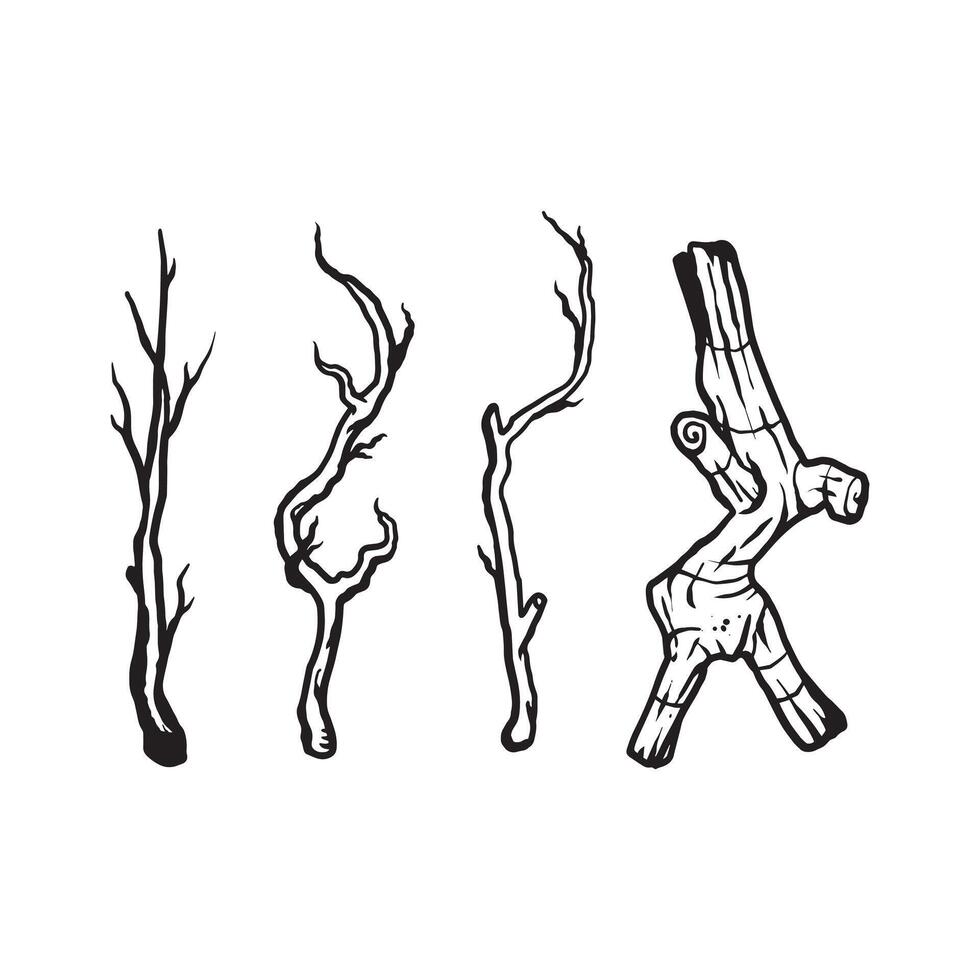 Hand drawn branch illustrations vector