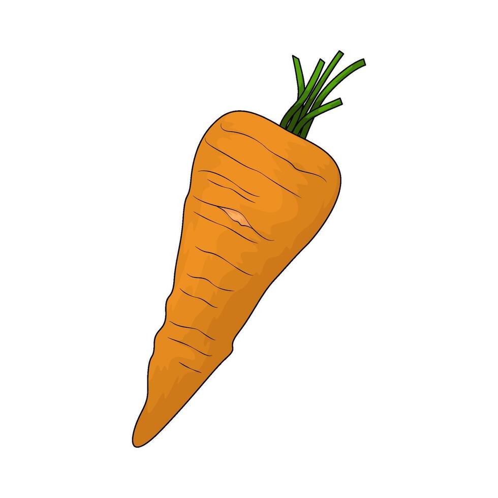 Healthy carrot illustration vector