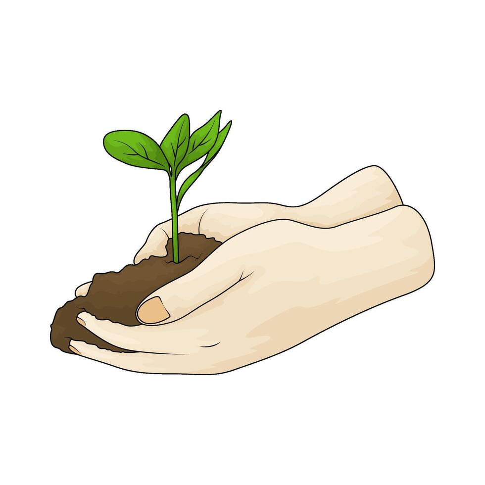sprout on hands vector