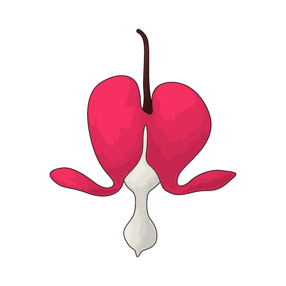 bleeding heart flower vector