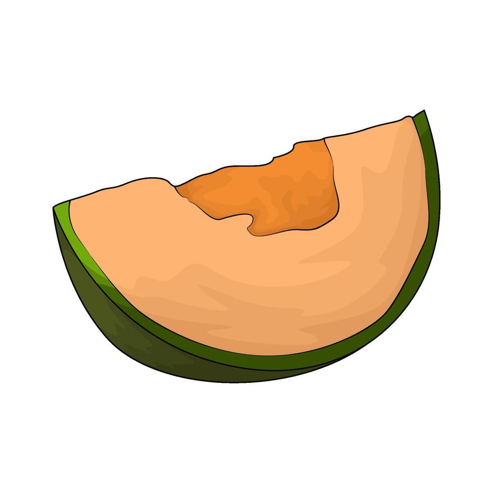 cantaloupe slice illustration vector