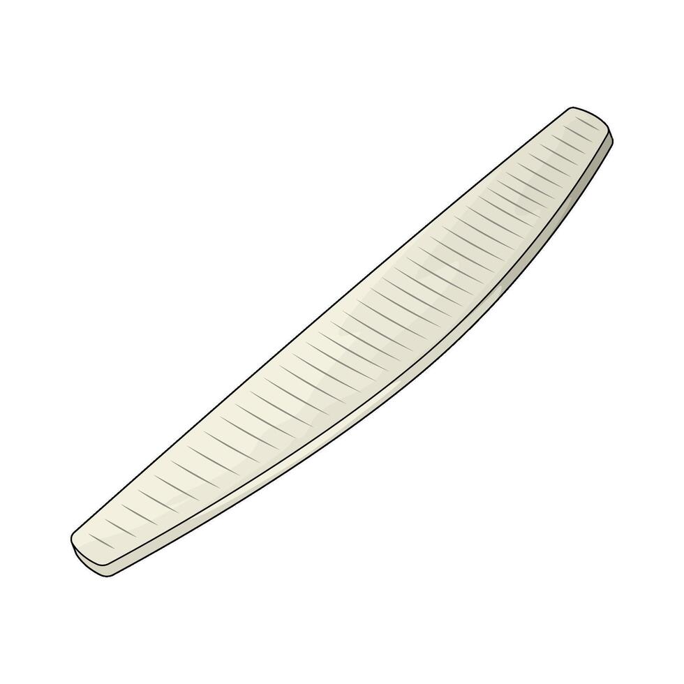 Beauty nail buffer vector