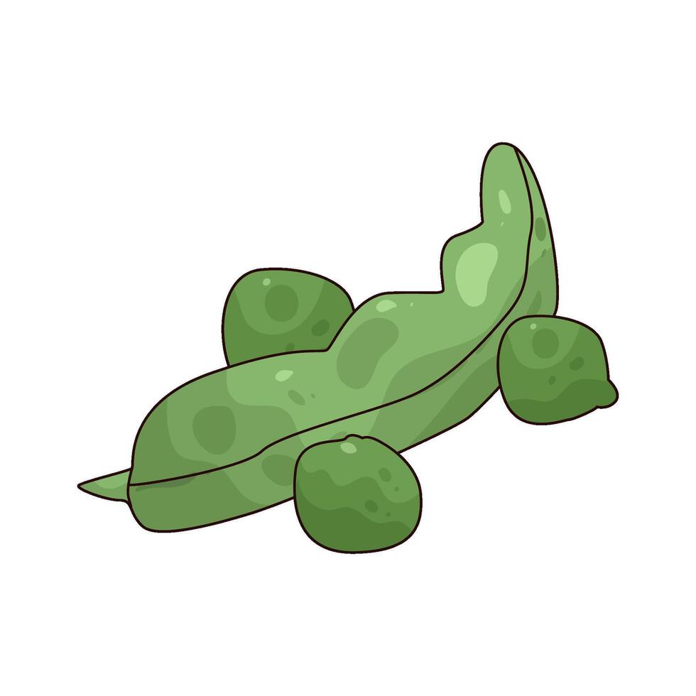 fresh green beans vector