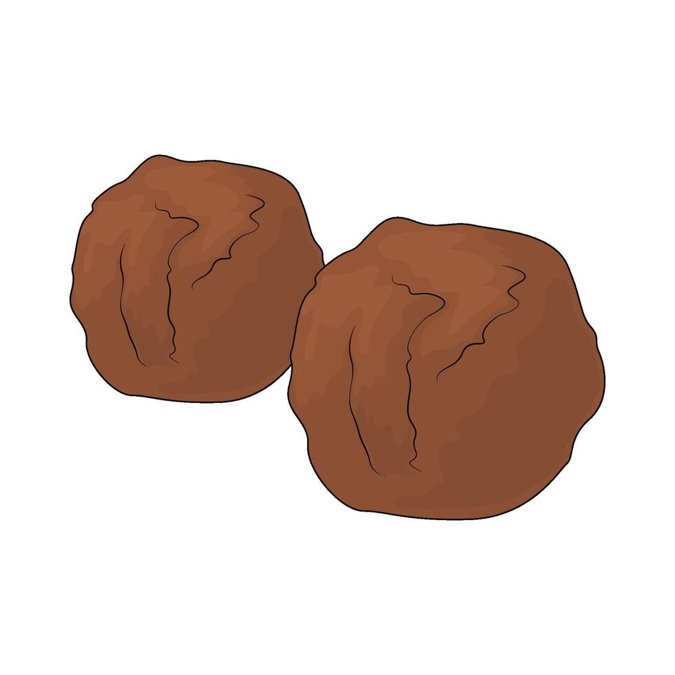 delicious meatball illustration vector