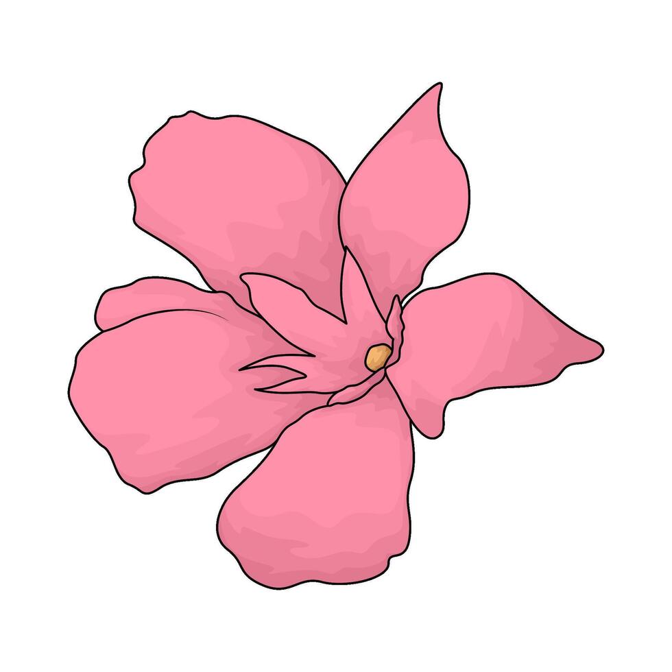 fresh pink flower illustration vector