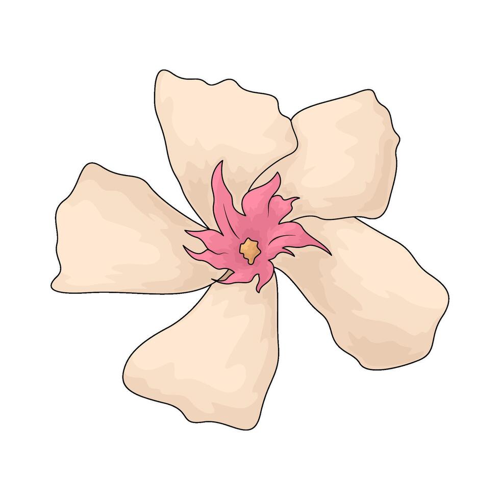 illustration of sampaguita flowers vector