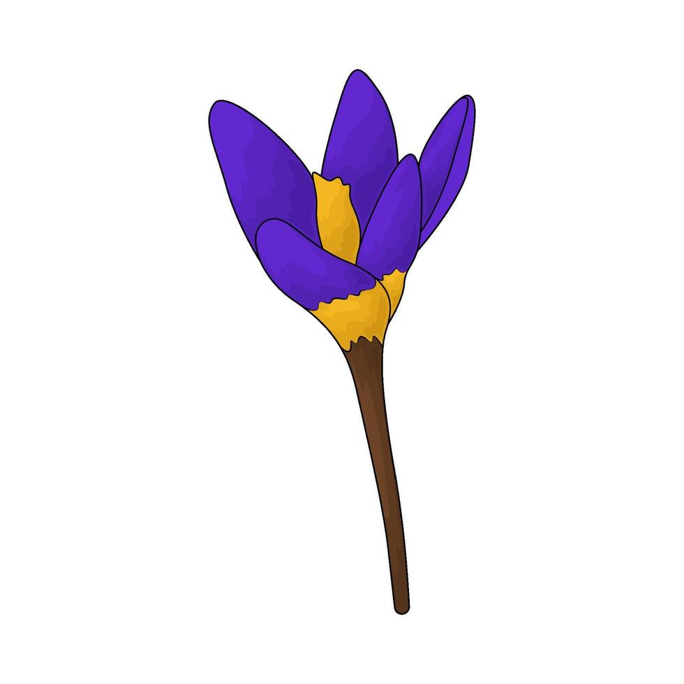 illustration of beautiful purple flower vector