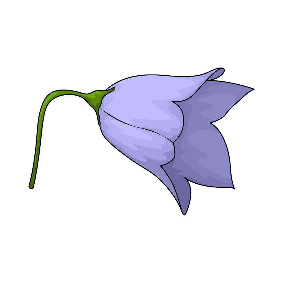 illustration of fresh bluebell flower vector