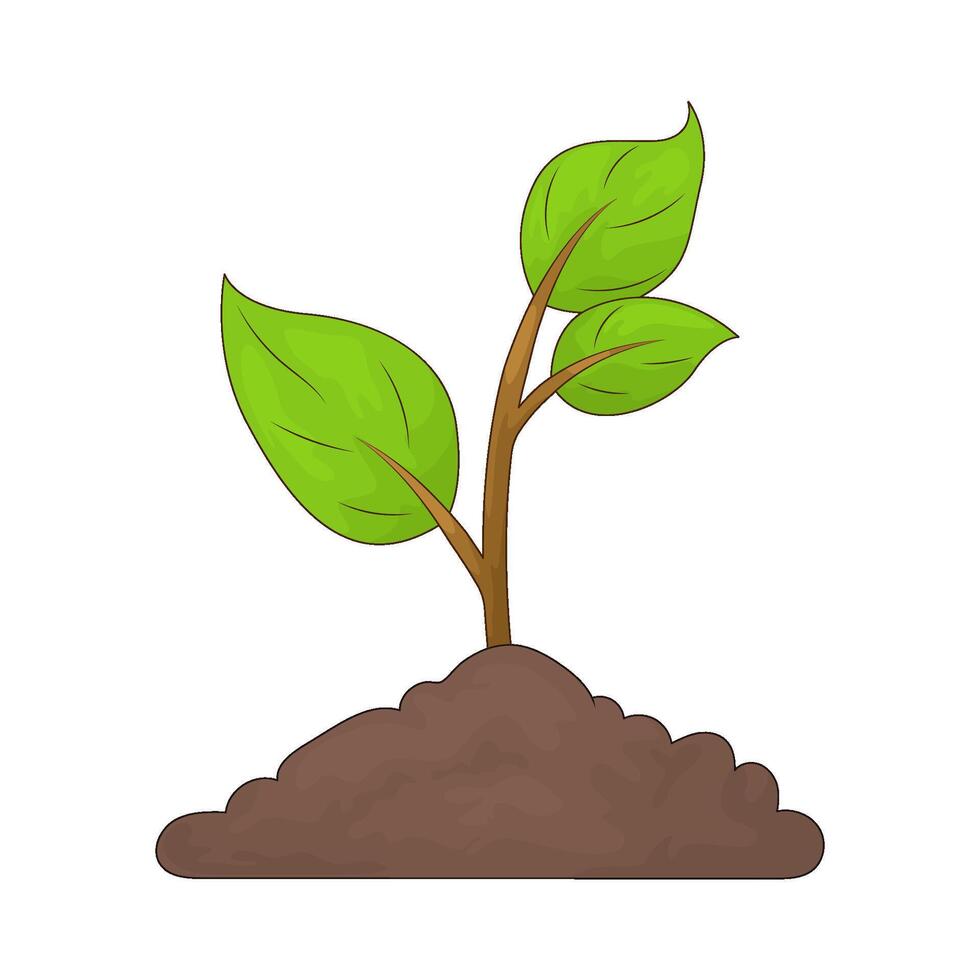 Eco sprout illustration vector