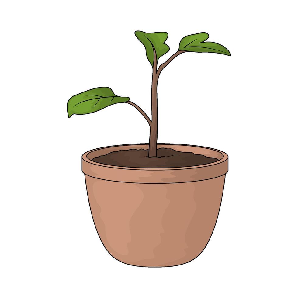 illustration of a plant pot vector