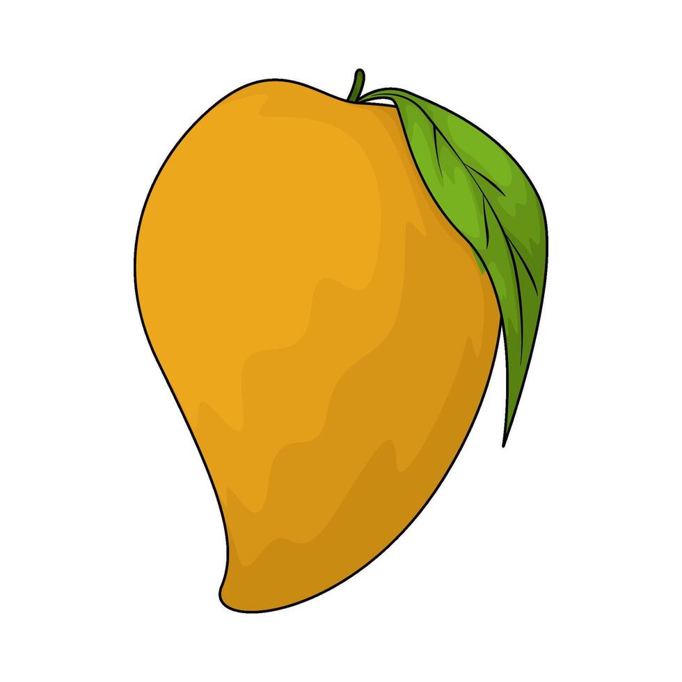illustration of fresh mango vector