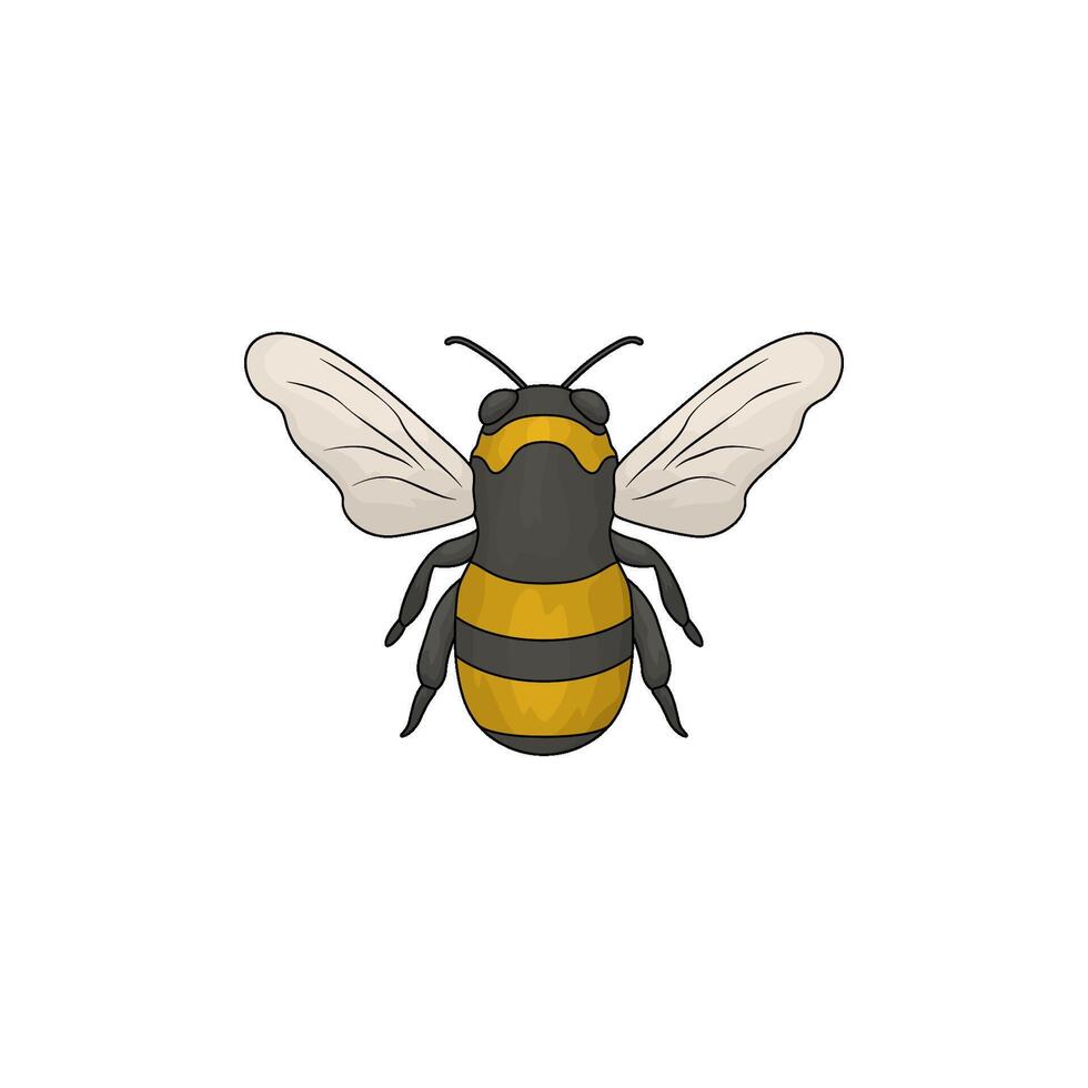 illustration of a bee vector