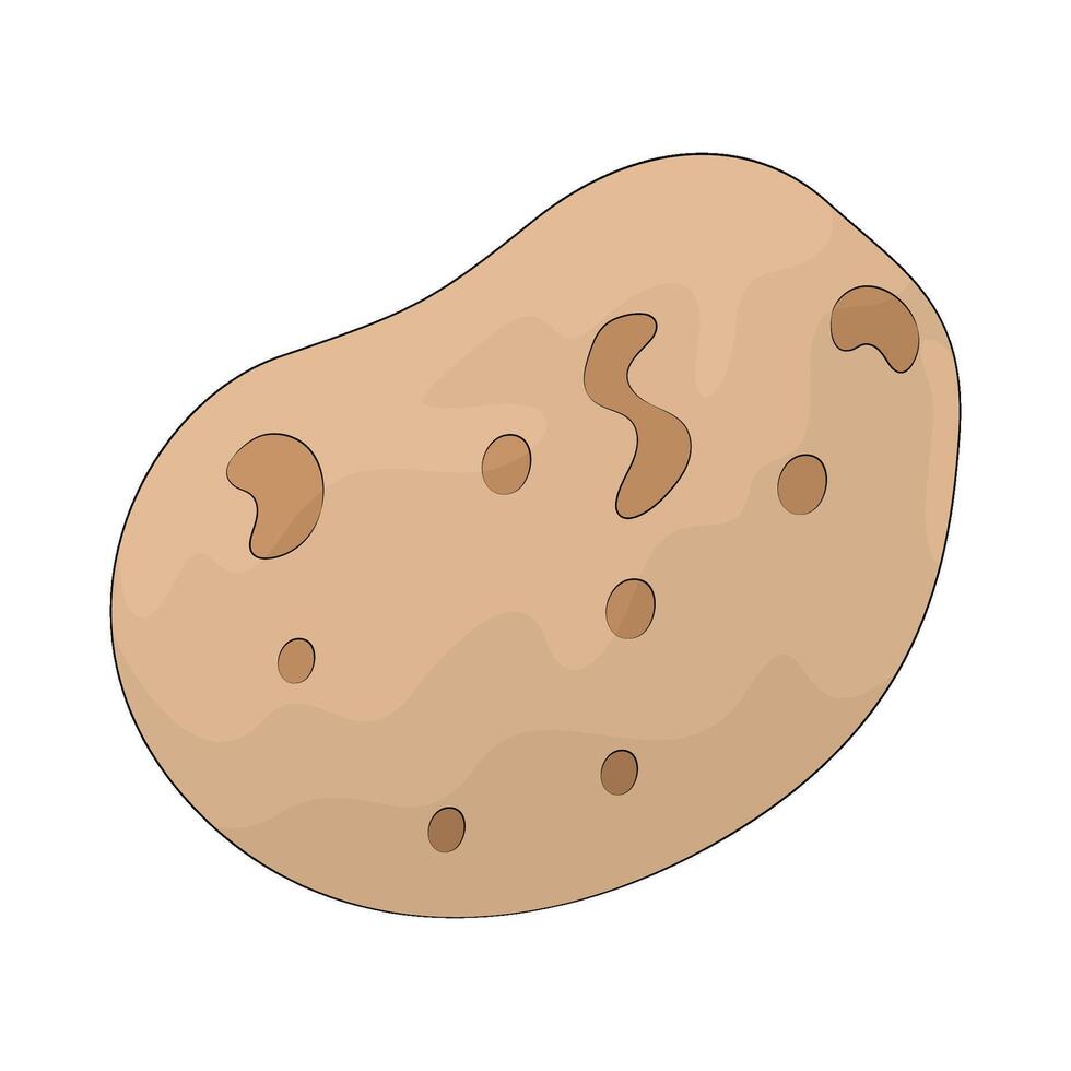 illustration of a potato vector