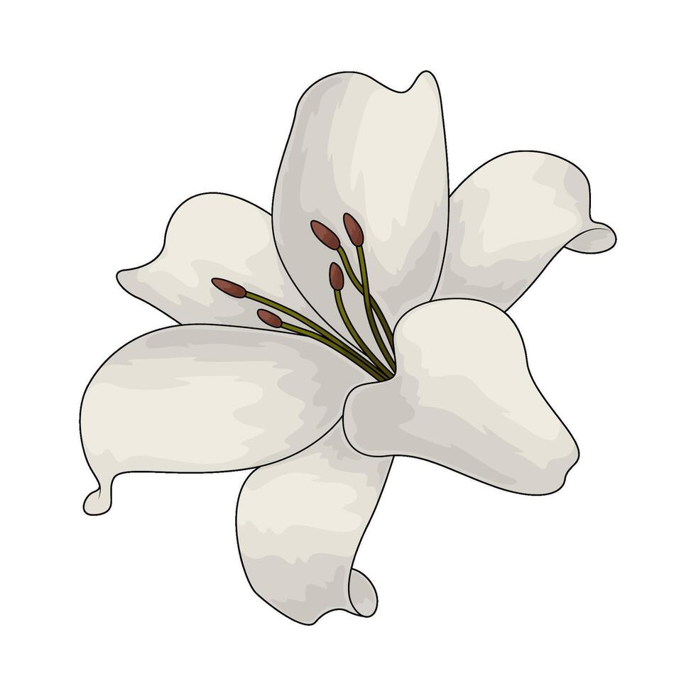 fresh white flowers illustration vector