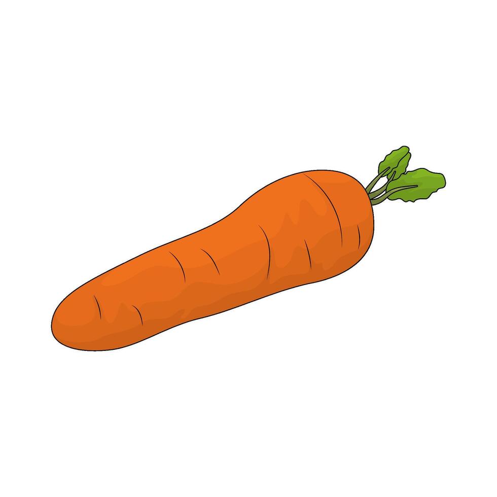 illustration of a big carrot vector