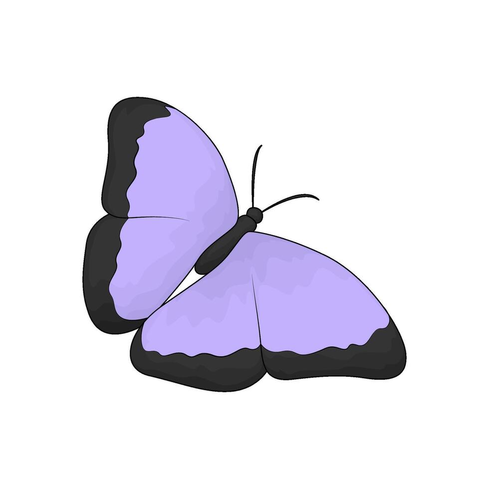 purple butterfly illustration vector