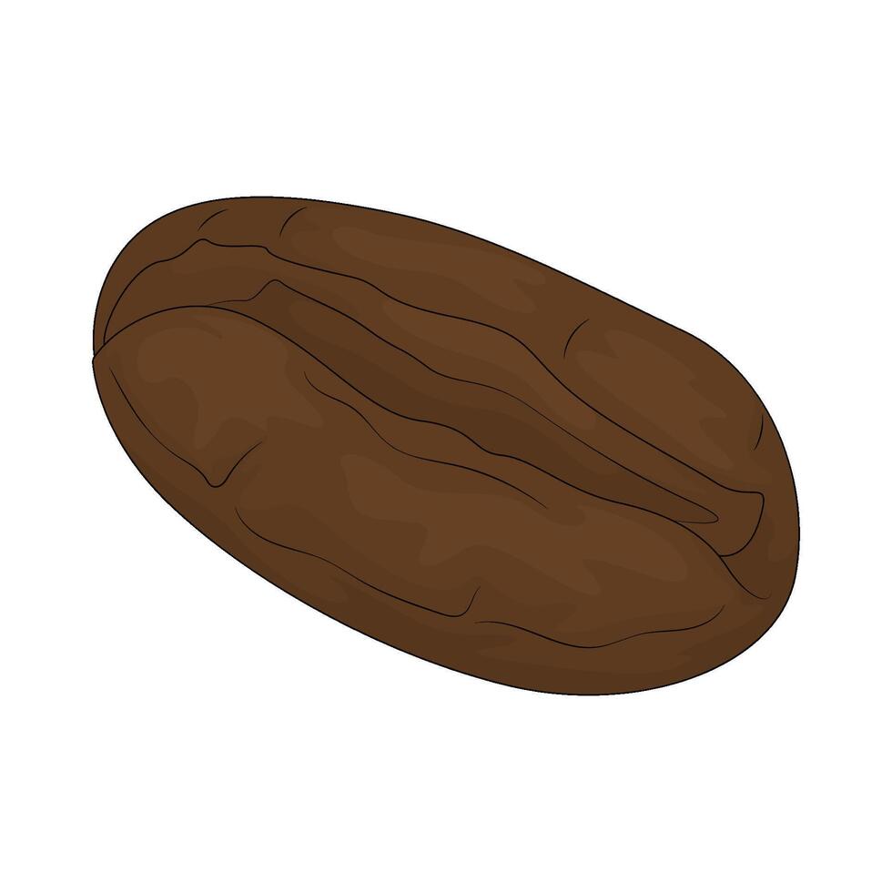 fresh coffee beans vector